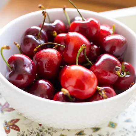 Casa Da Fonte * Vilarelhos