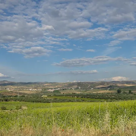Casa Da Fonte Dom wakacyjny Vilarelhos