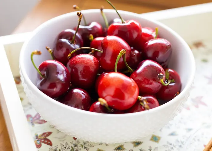 Casa Da Fonte * Vilarelhos